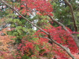 img0027.jpg