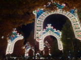 img0033.jpg