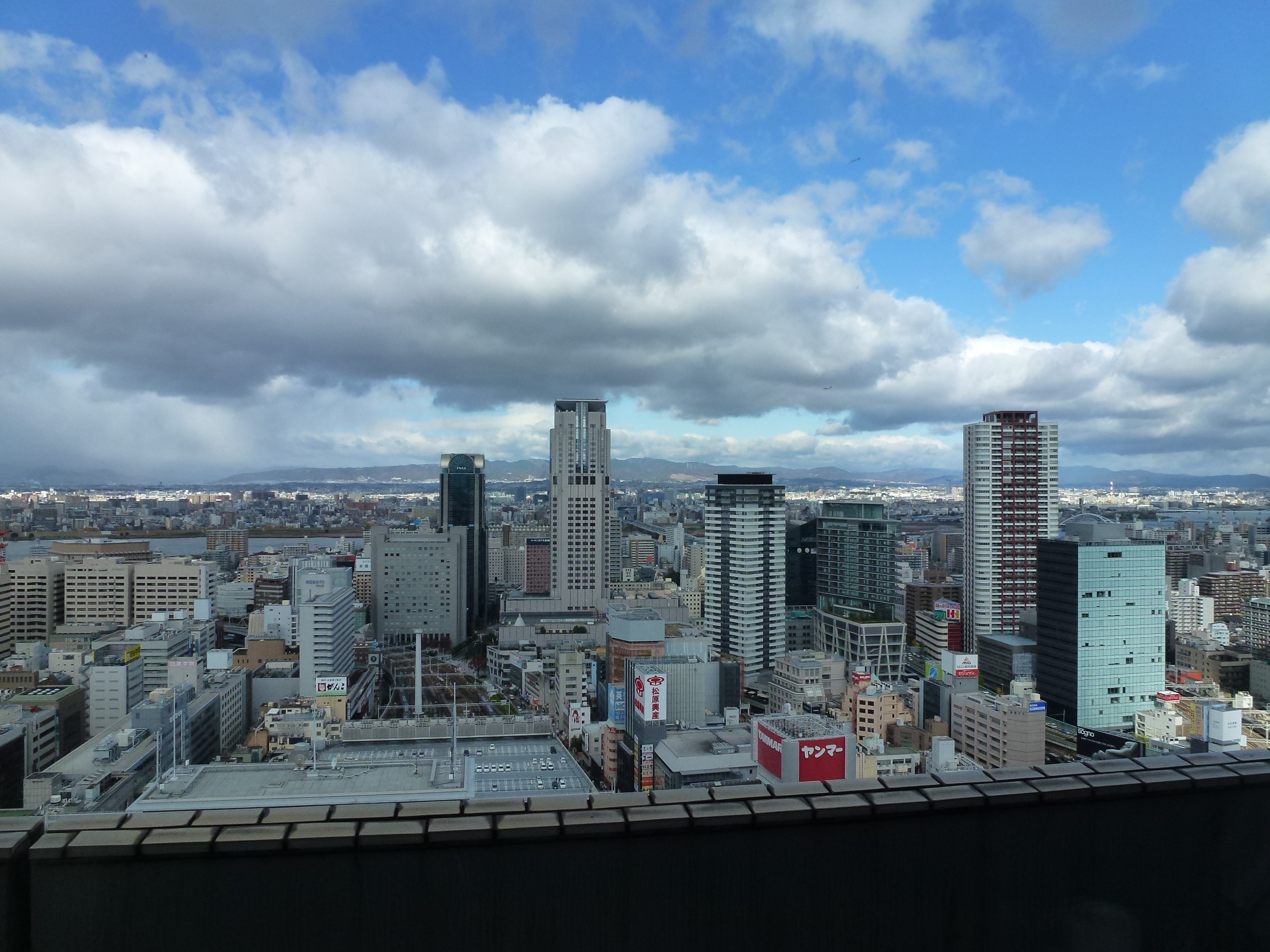 P1010553.JPG
