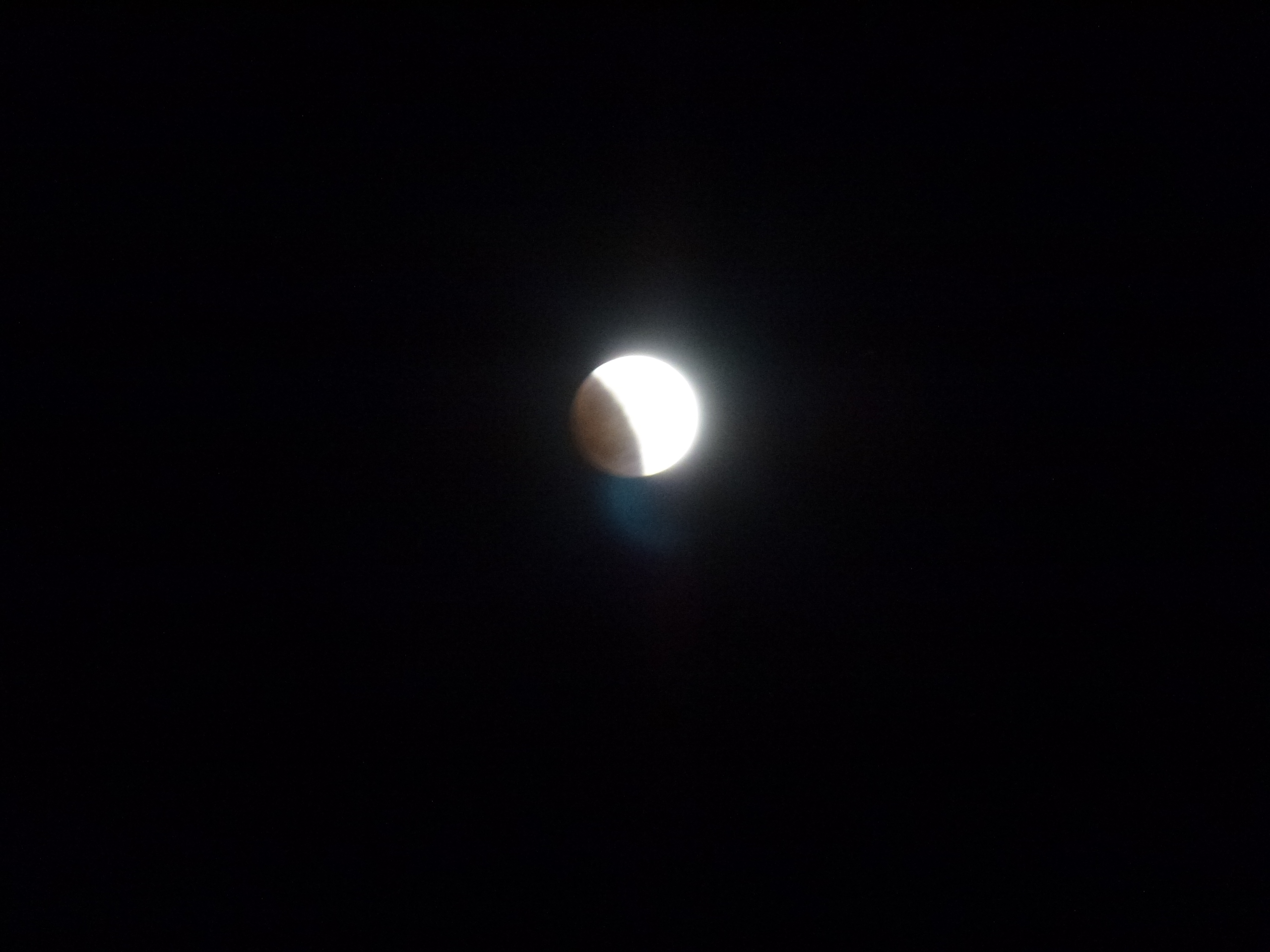 P1010562.JPG