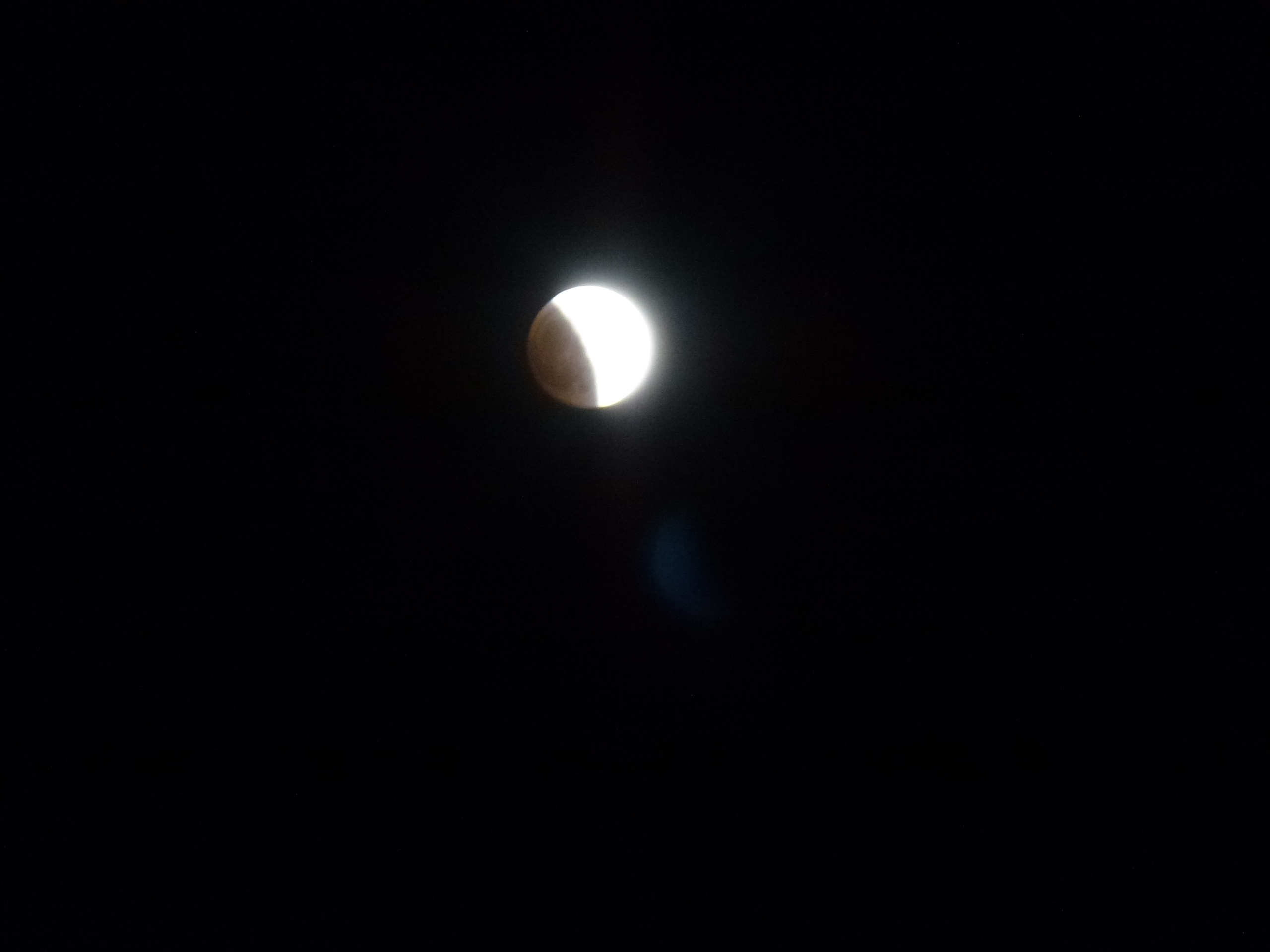P1010563.JPG