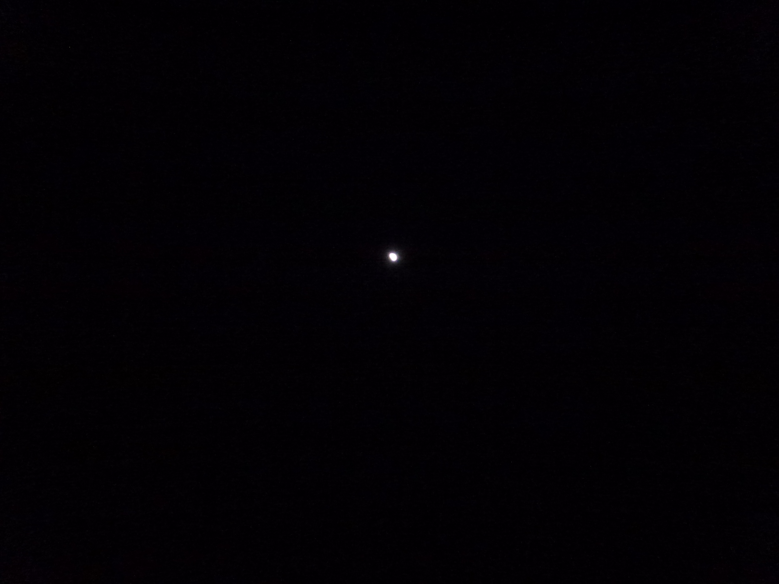 P1010564.JPG