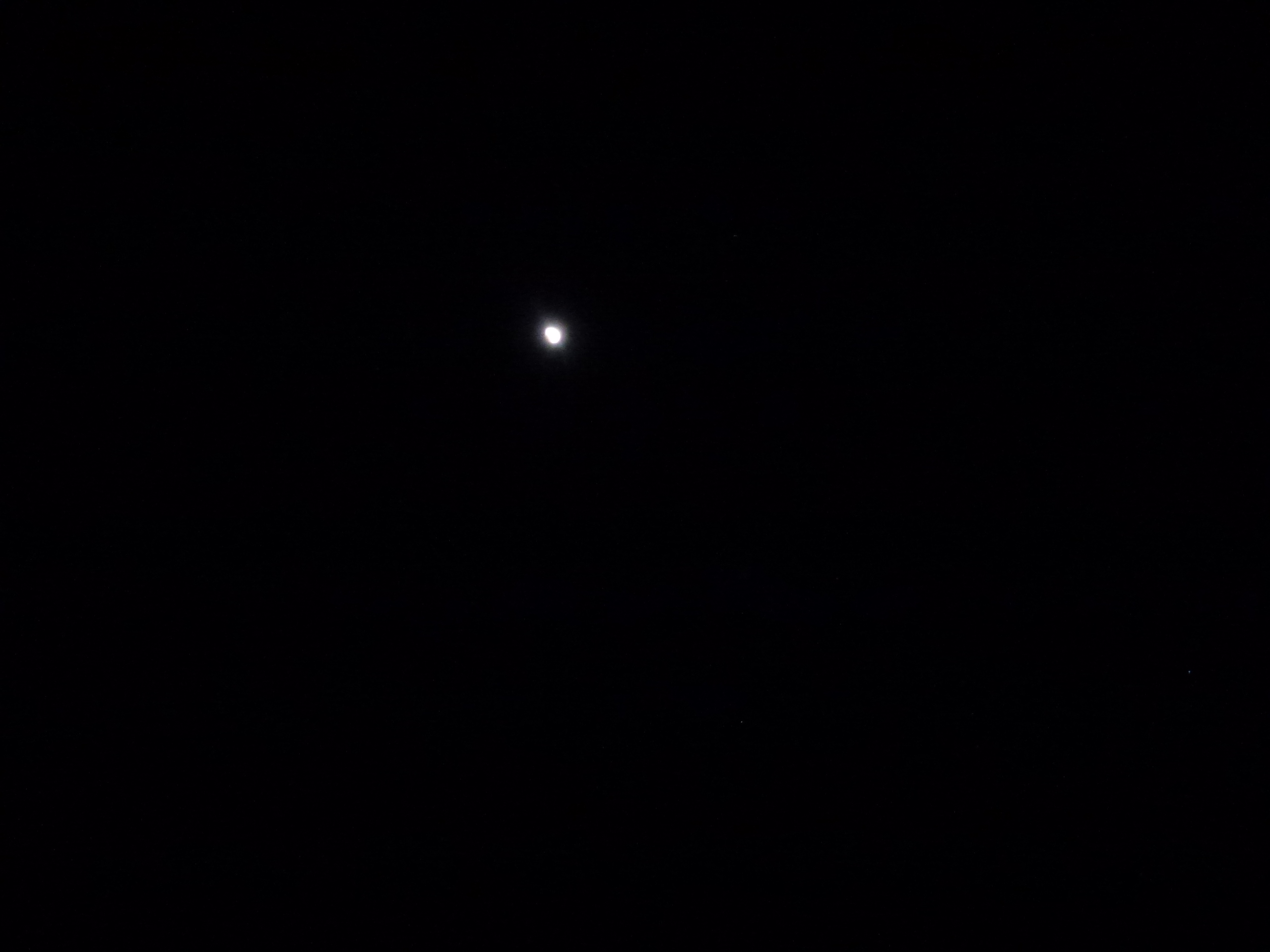 P1010565.JPG