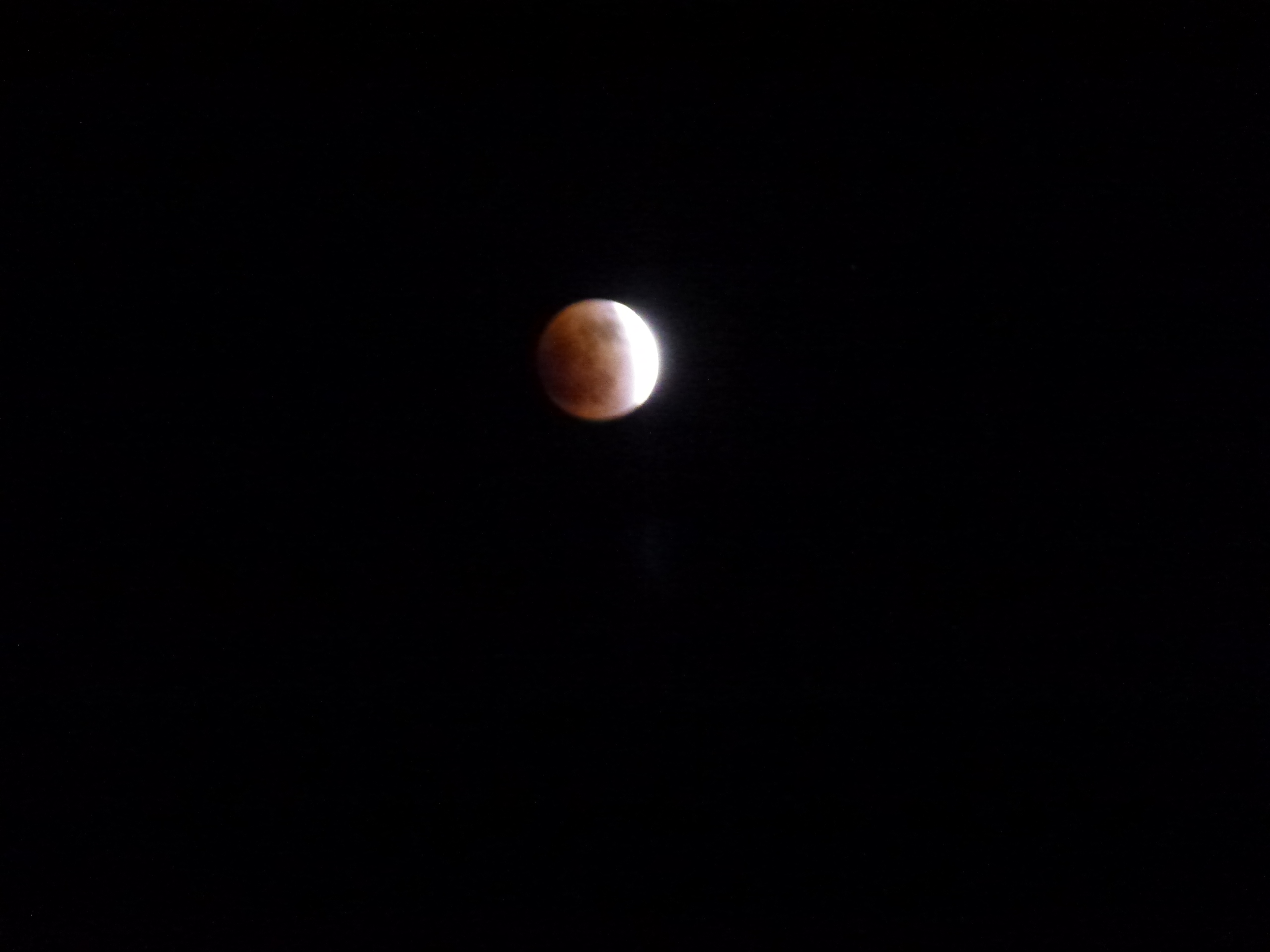 P1010569.JPG