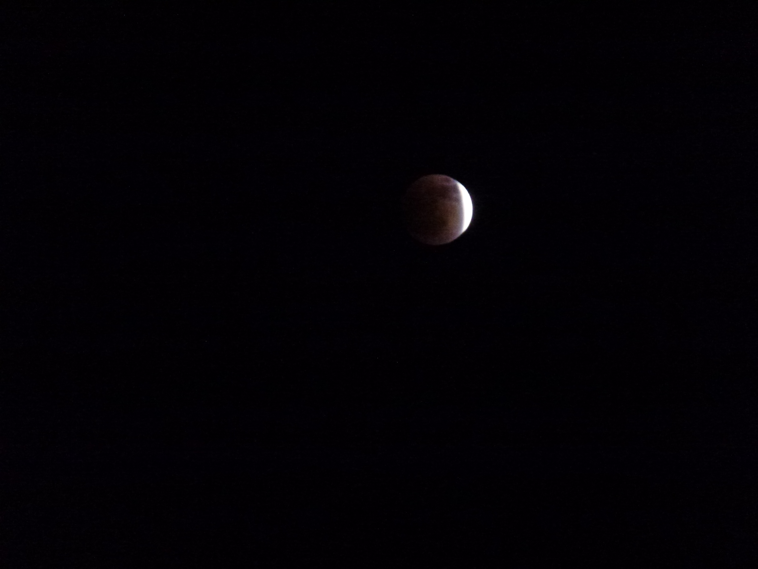 P1010571.JPG