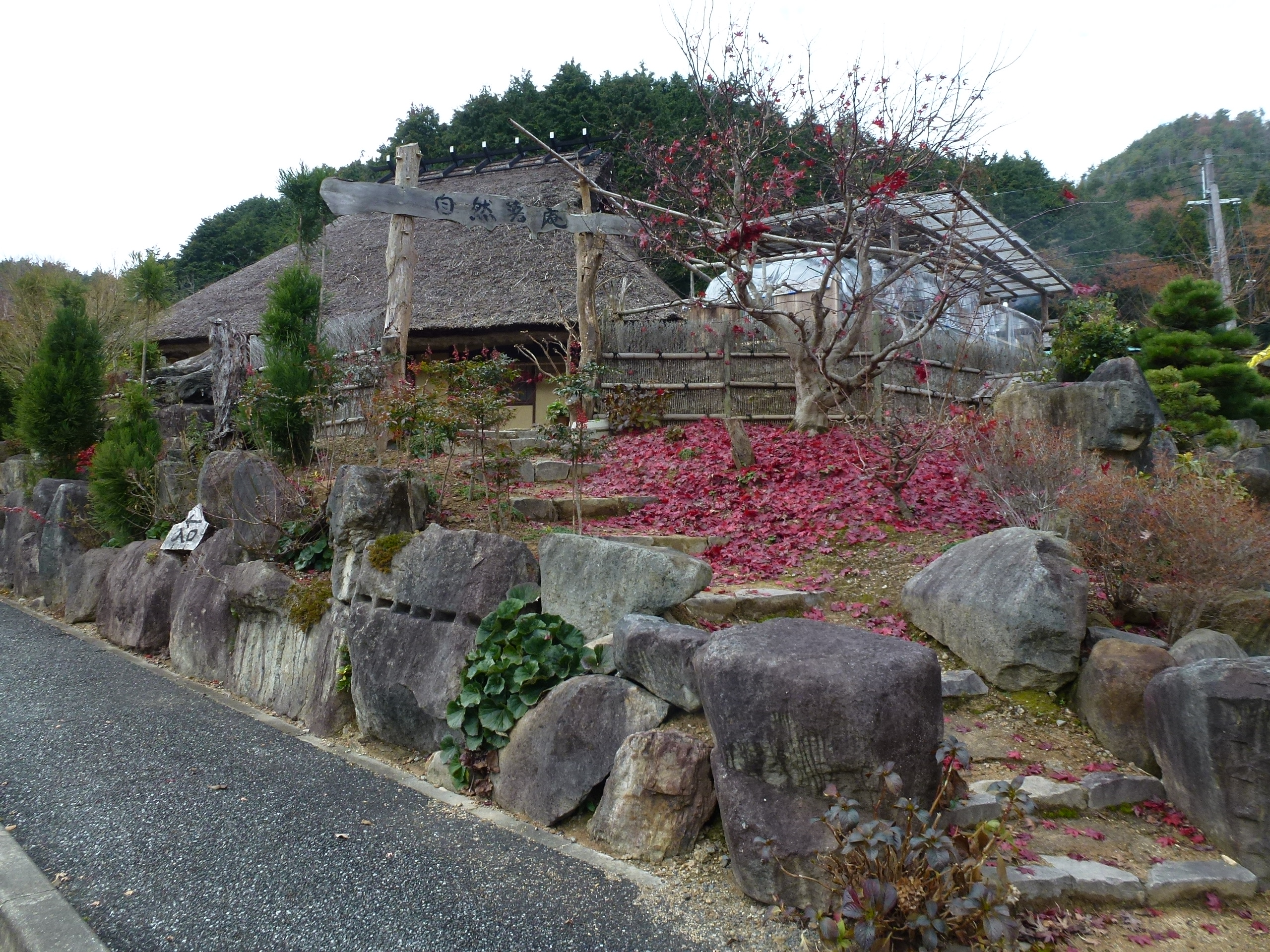 P1010593.JPG