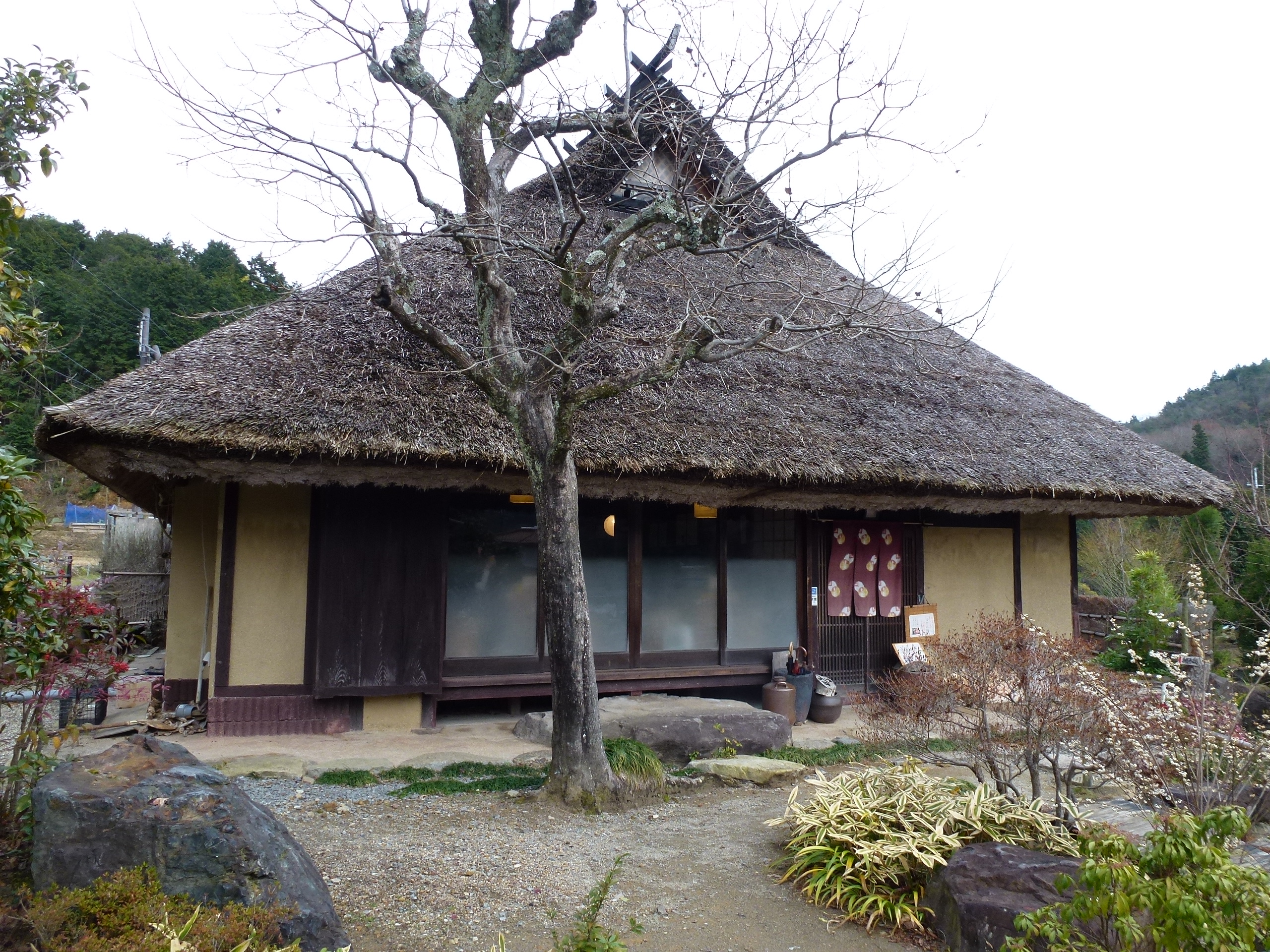 P1010594.JPG