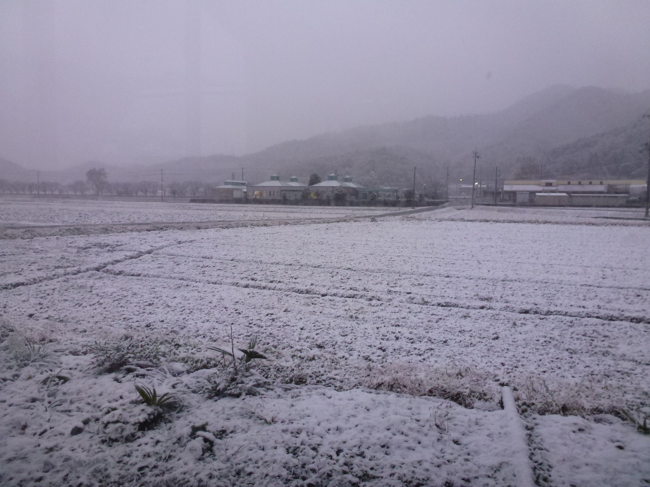 P1010676.JPG