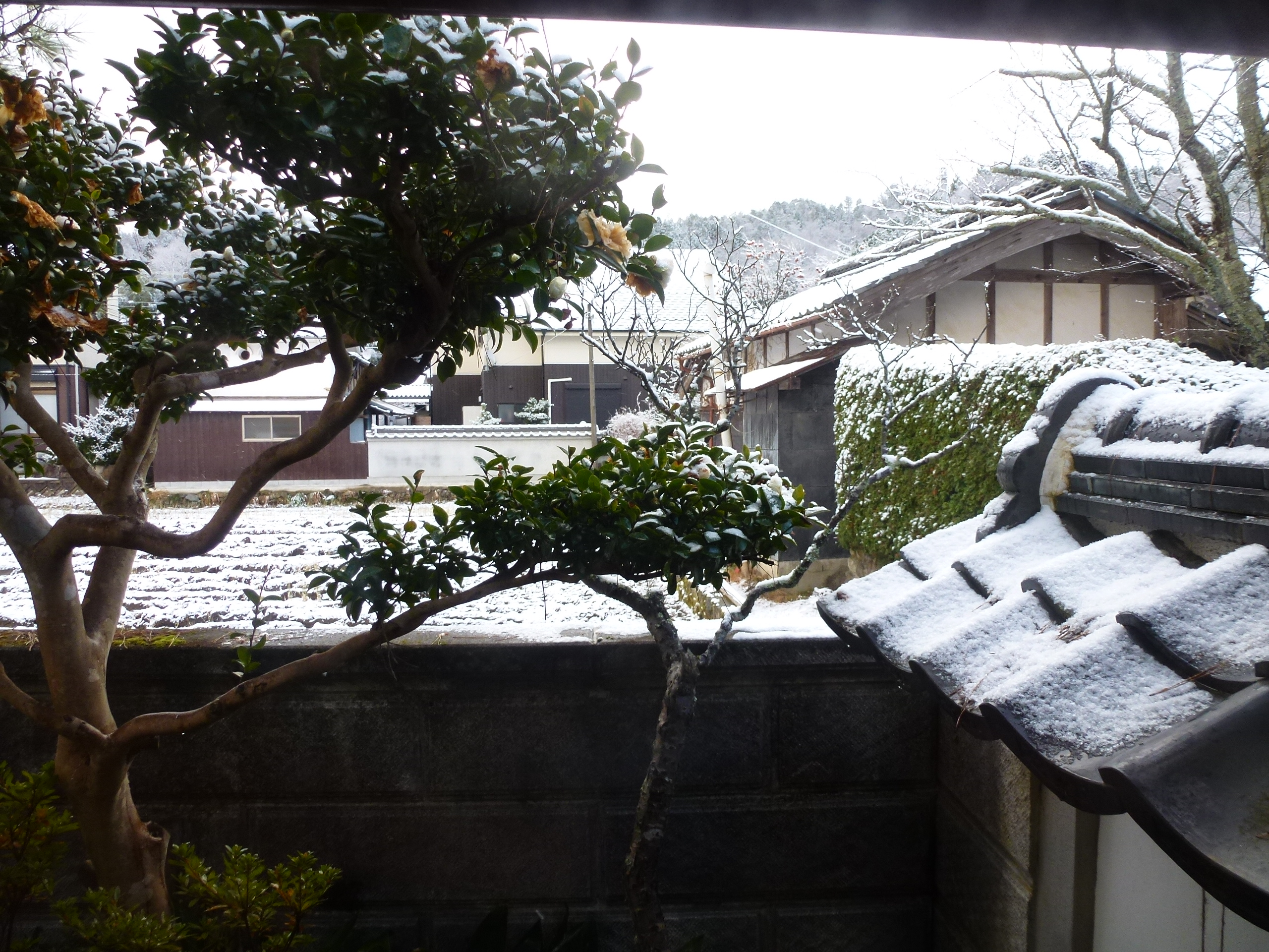 P1010680.JPG