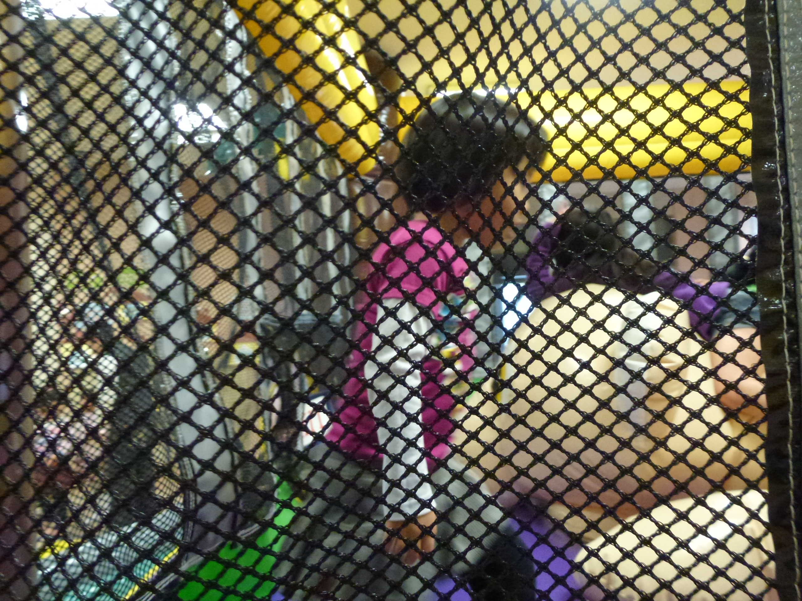P1010794.JPG