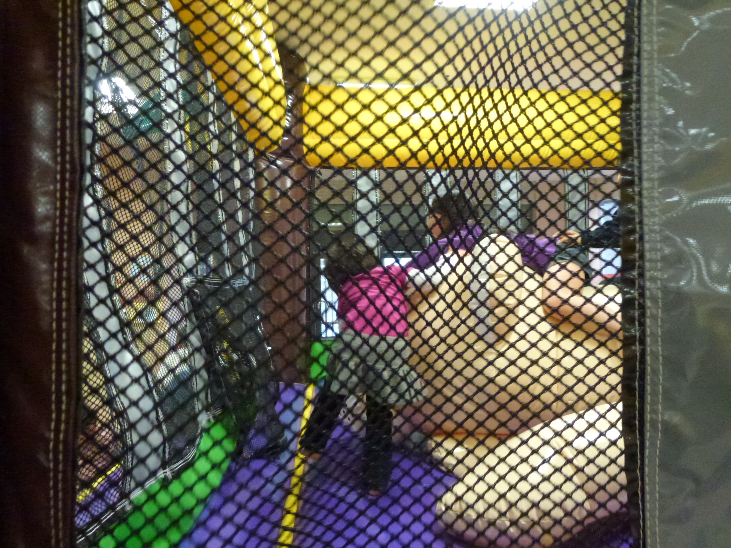 P1010795.JPG
