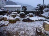 img0006.jpg