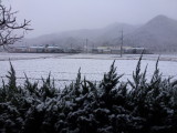 img0009.jpg