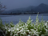 img0010.jpg