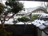 img0012.jpg