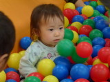 img0061.jpg