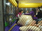 img0124.jpg
