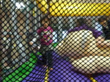 img0127.jpg