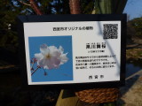img0000.jpg