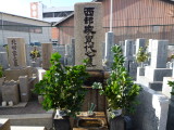img0000.jpg
