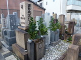 img0003.jpg