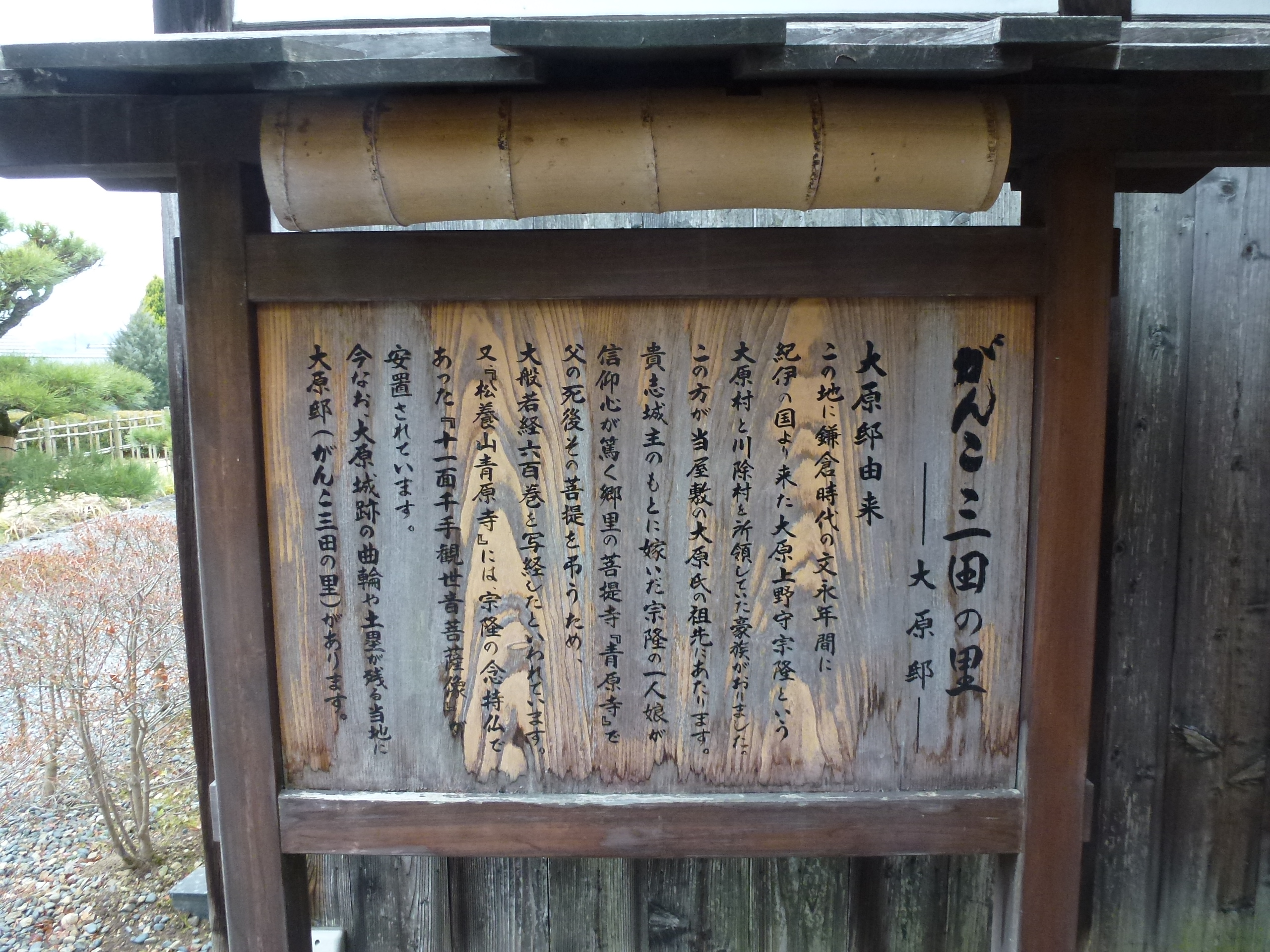 P1020044.JPG
