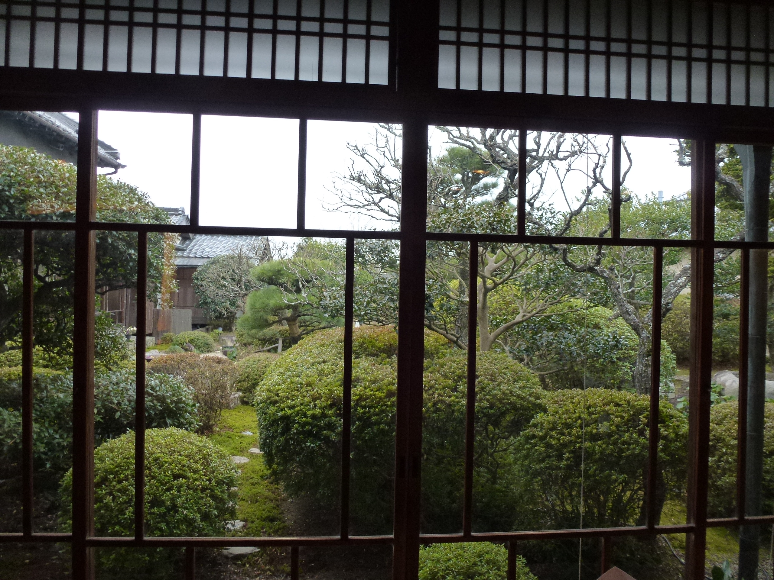 P1020049.JPG