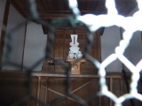 img0012.jpg