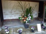 img0018.jpg