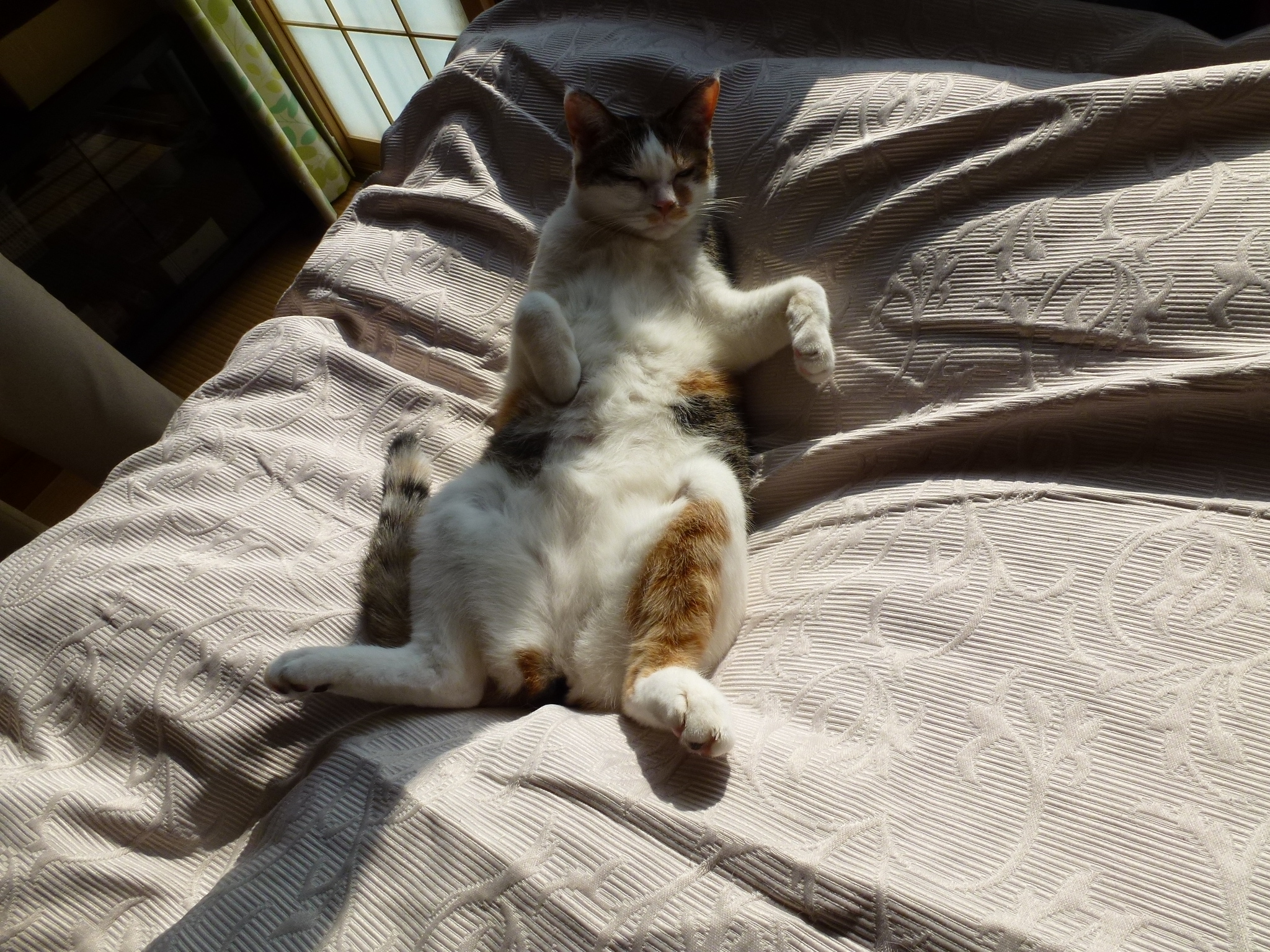 P1020411.JPG