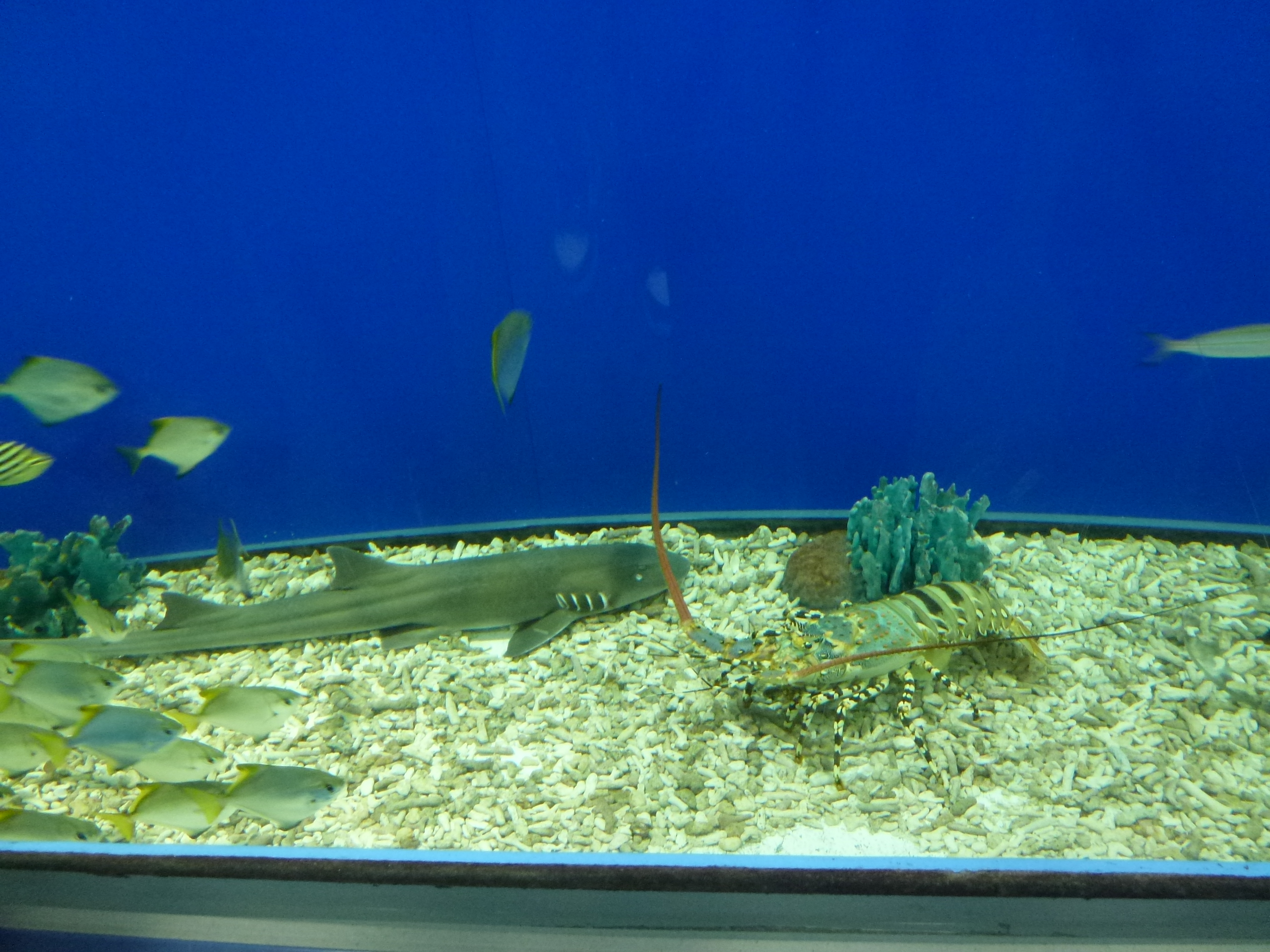 P1020417.JPG
