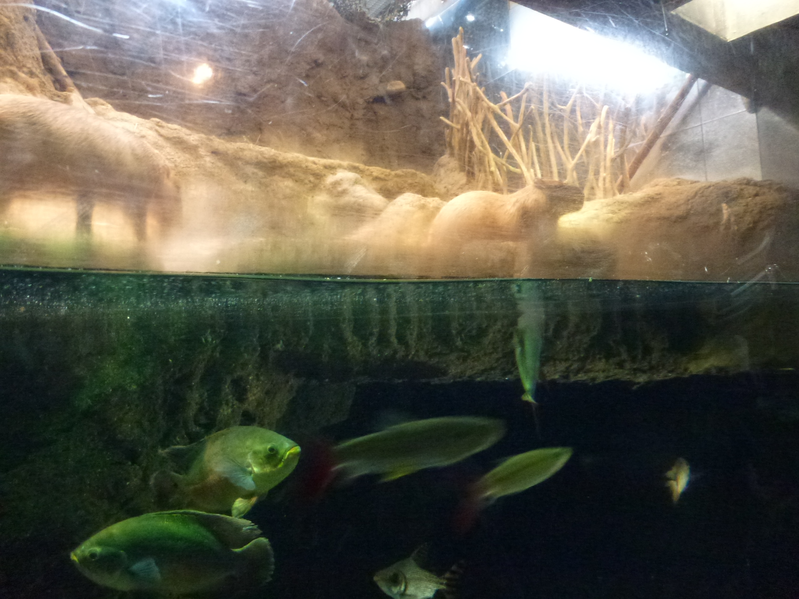 P1020450.JPG