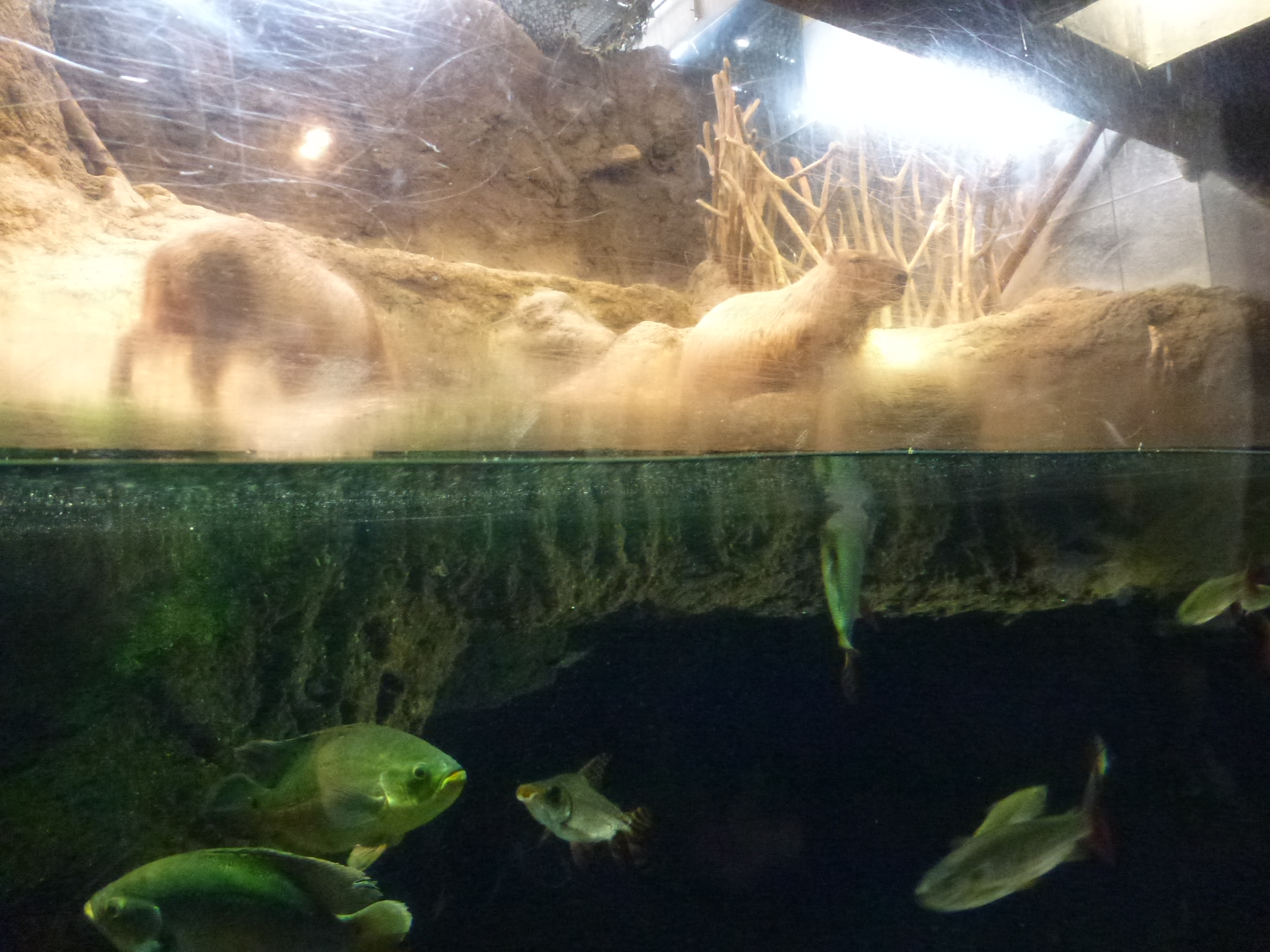 P1020451.JPG