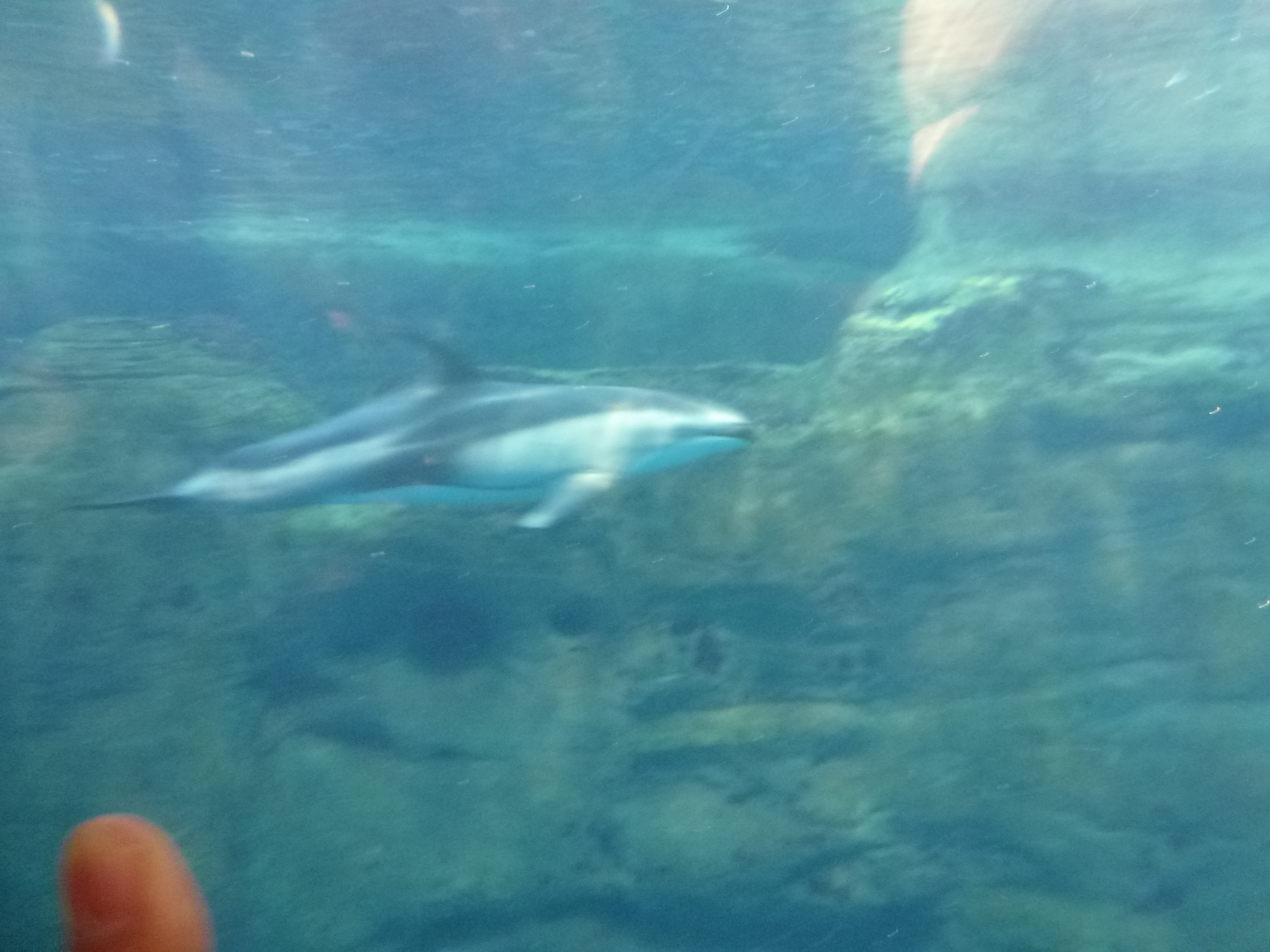 P1020455.JPG