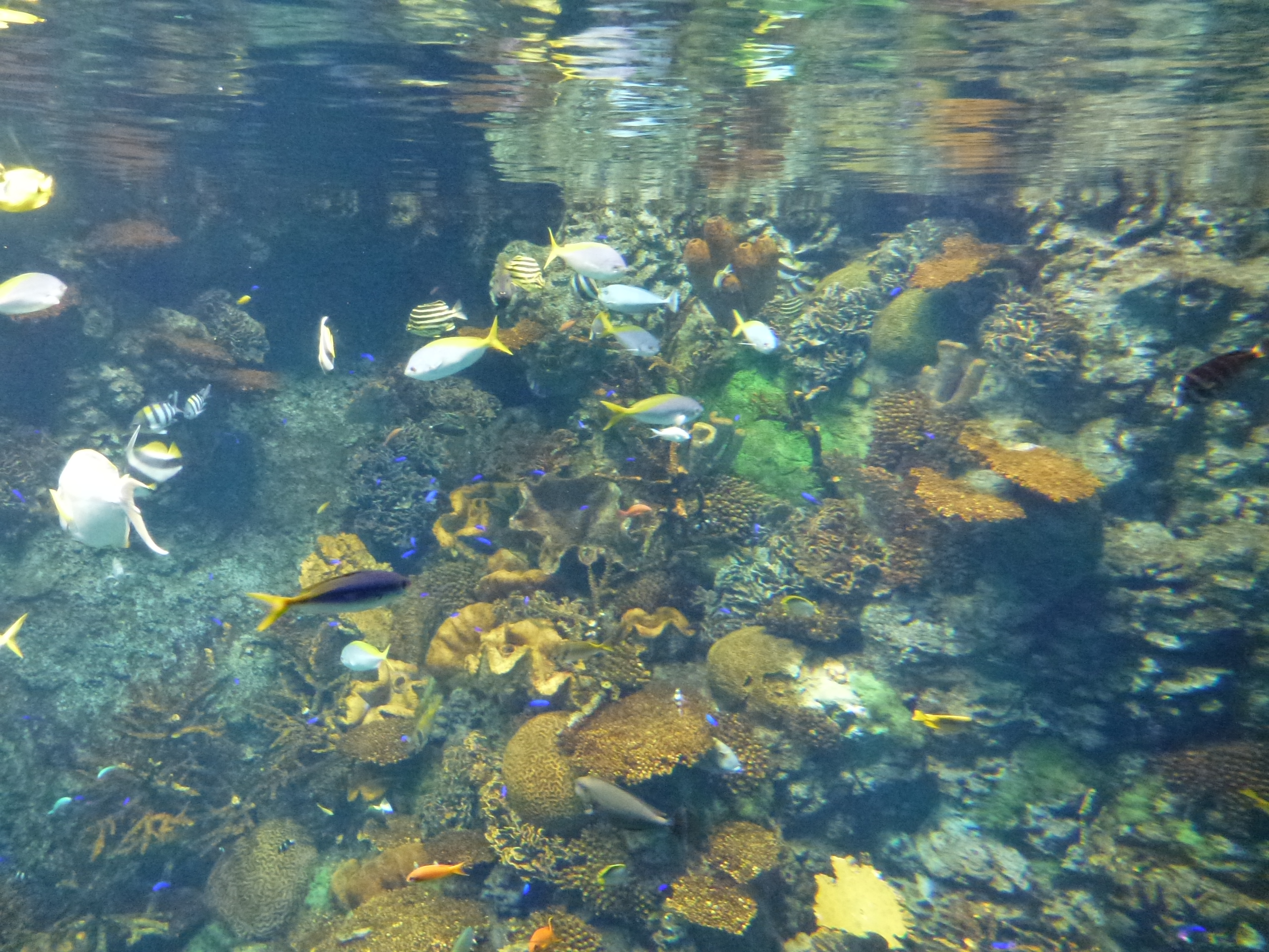 P1020462.JPG