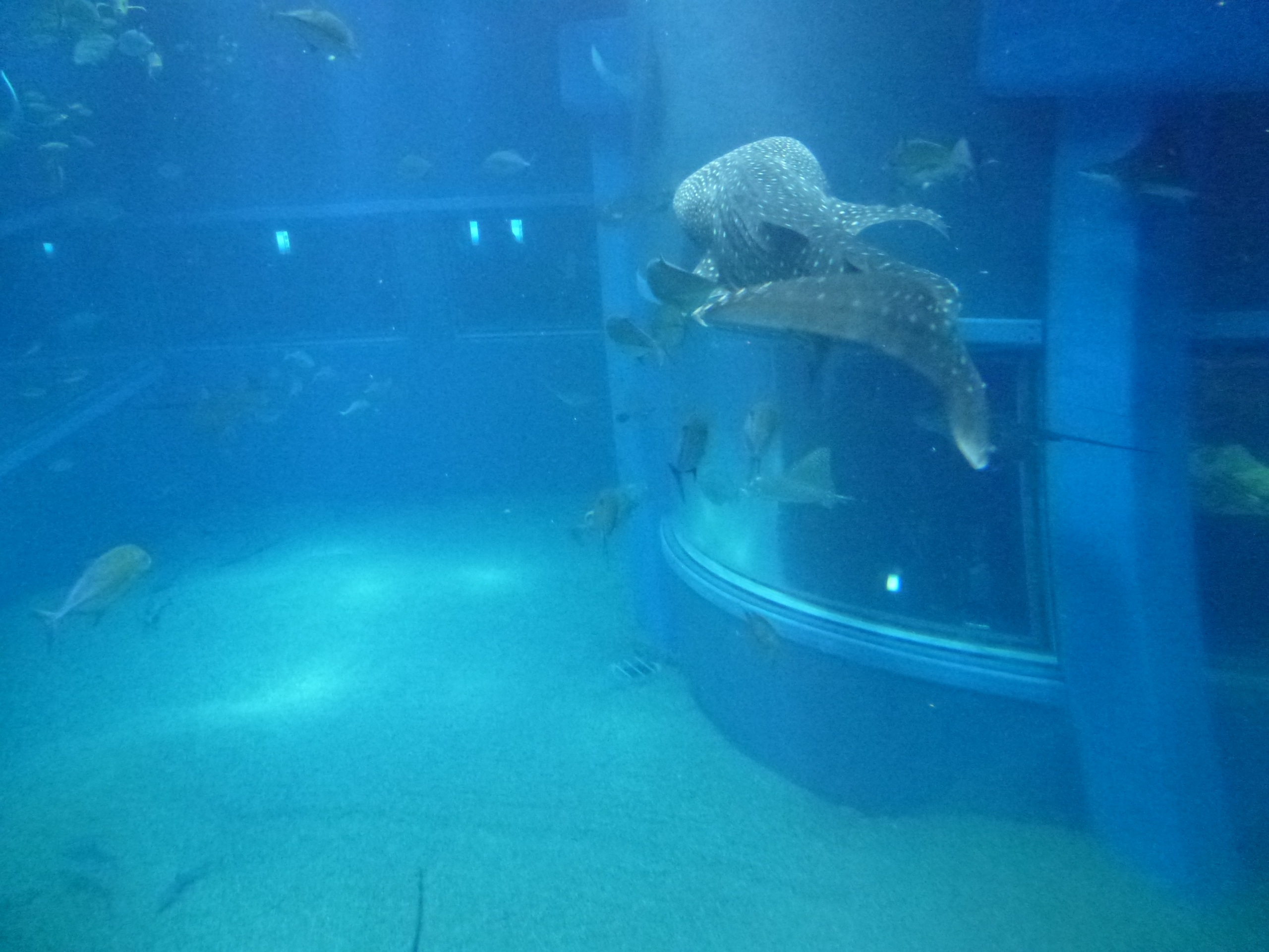 P1020476.JPG