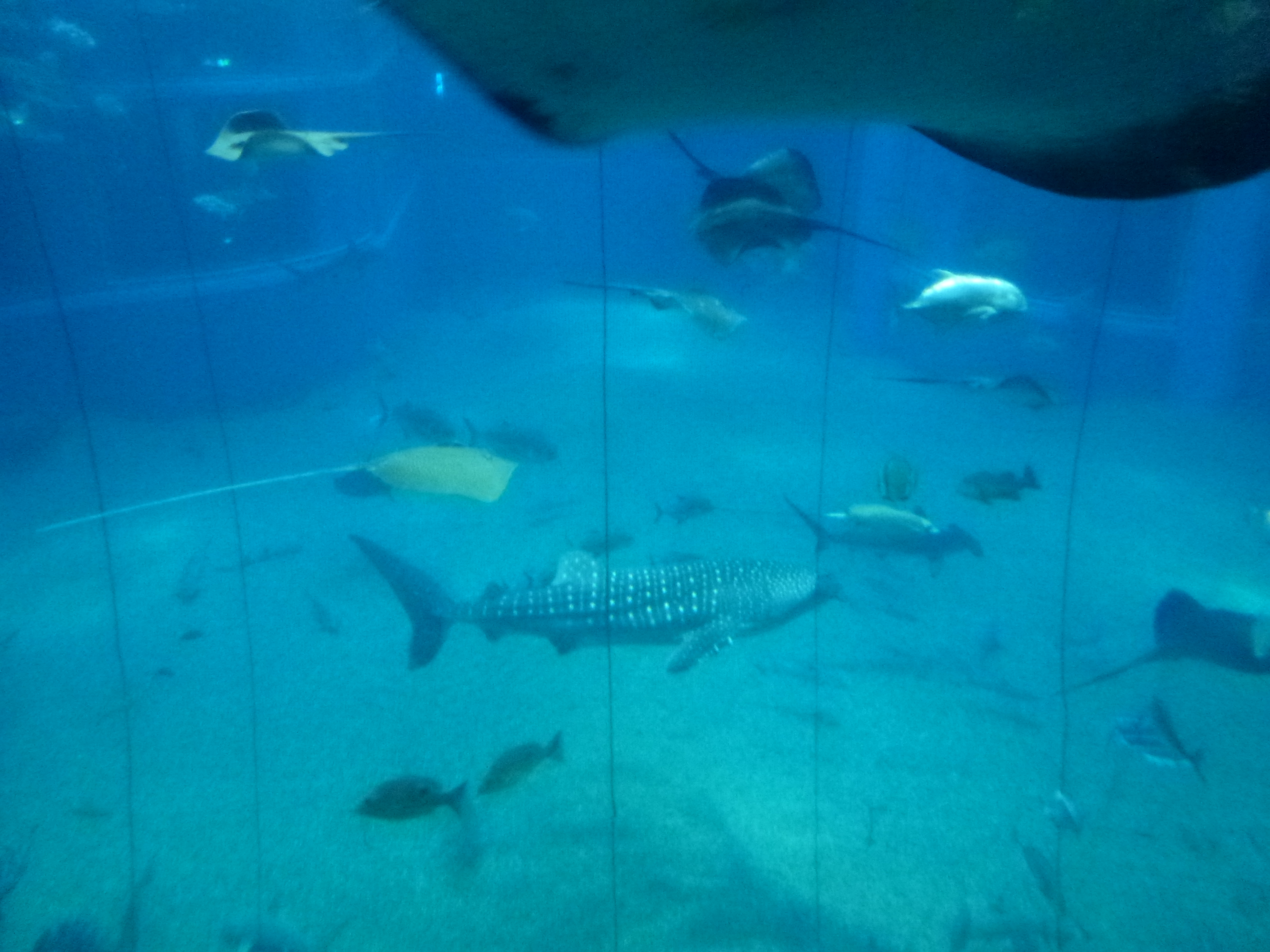 P1020481.JPG