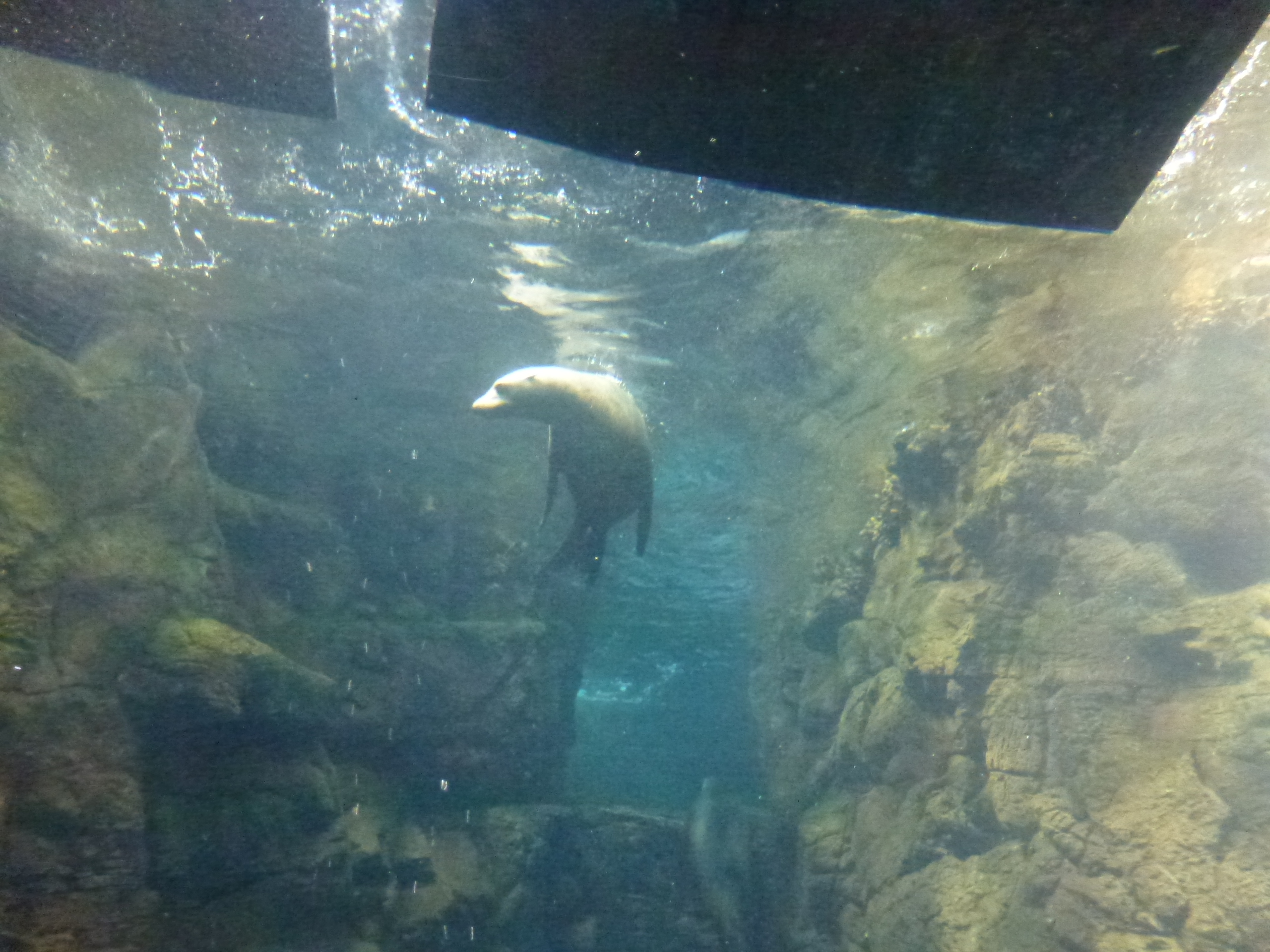 P1020485.JPG