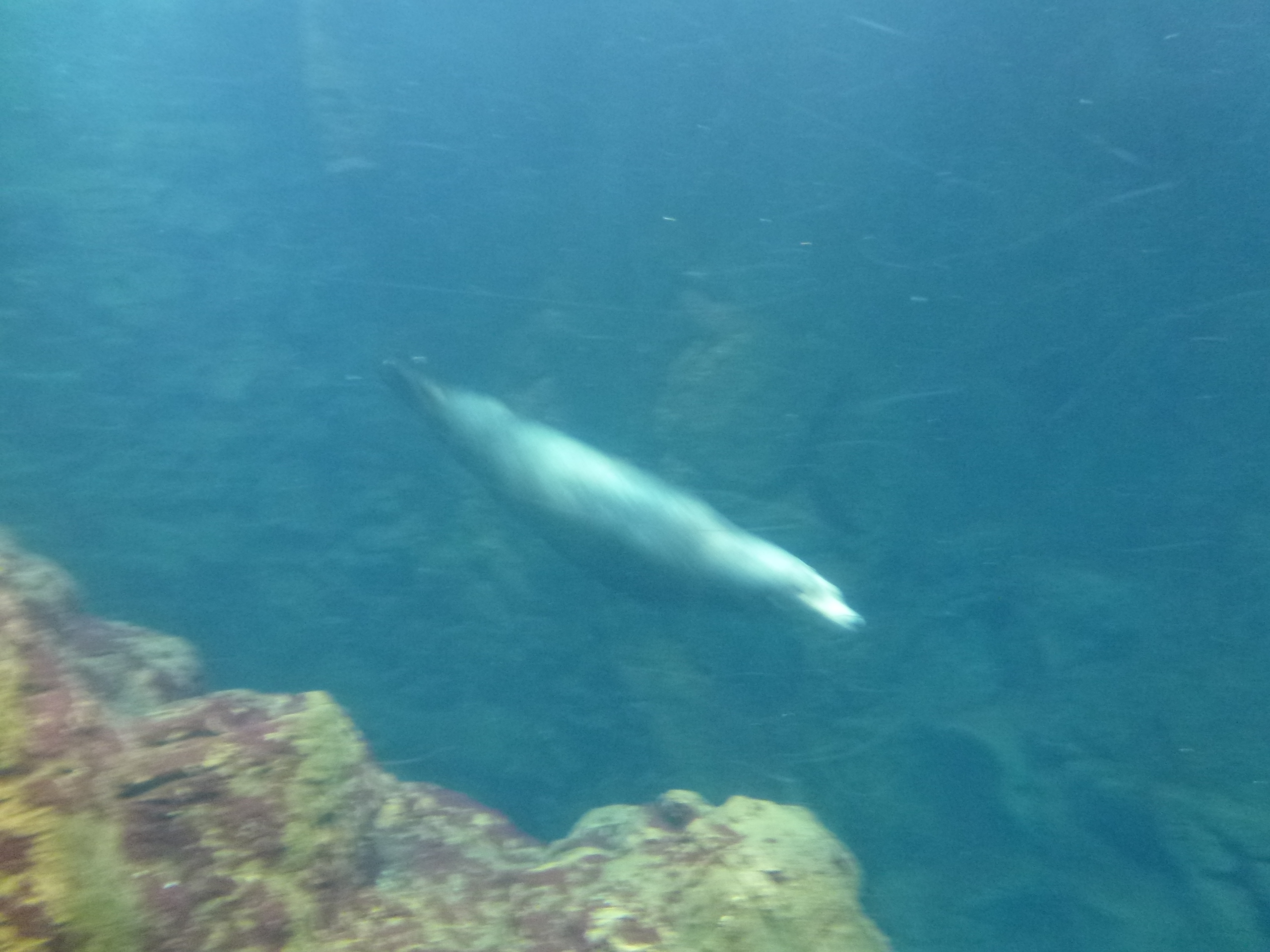 P1020486.JPG
