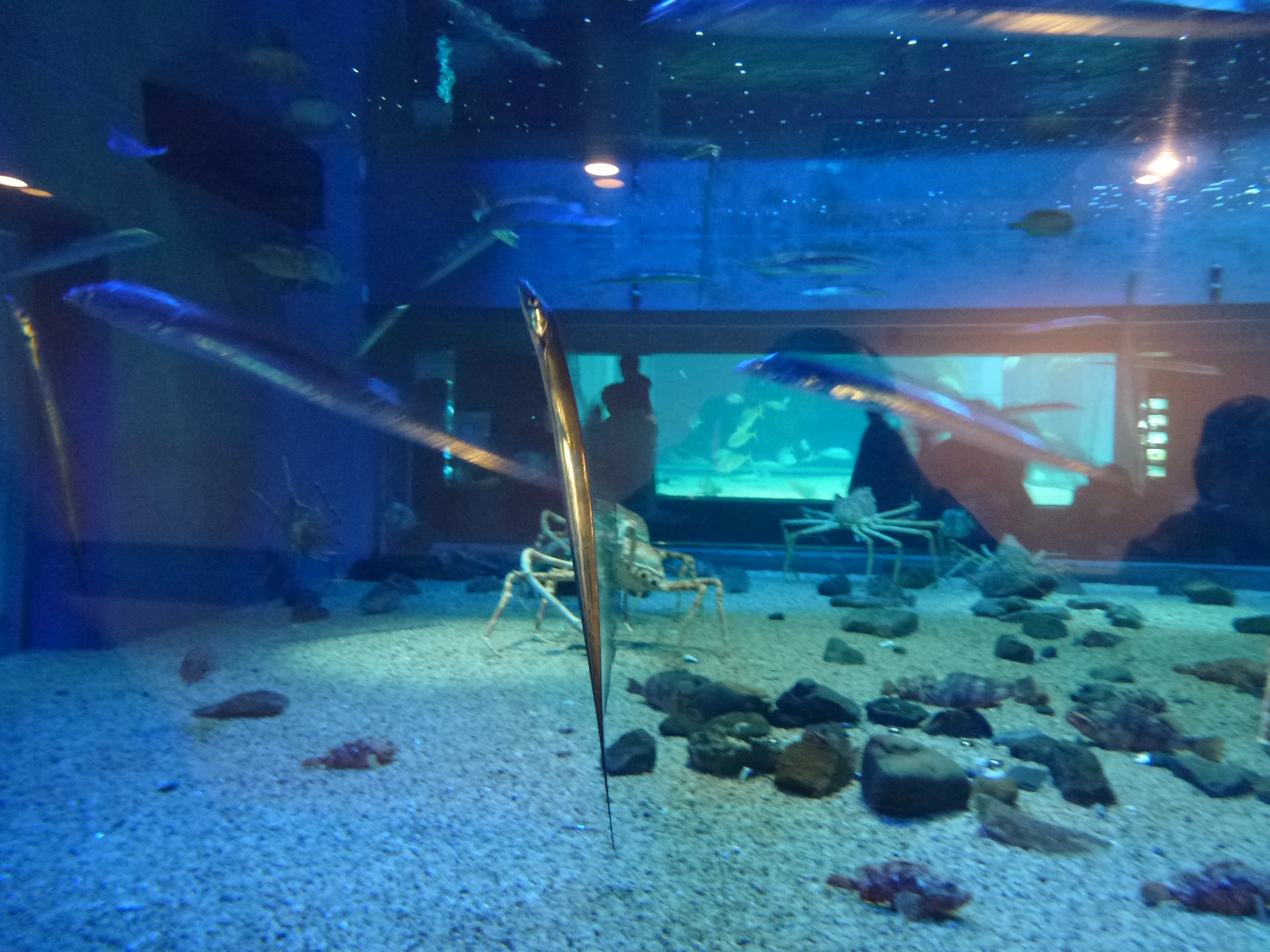 P1020506.JPG