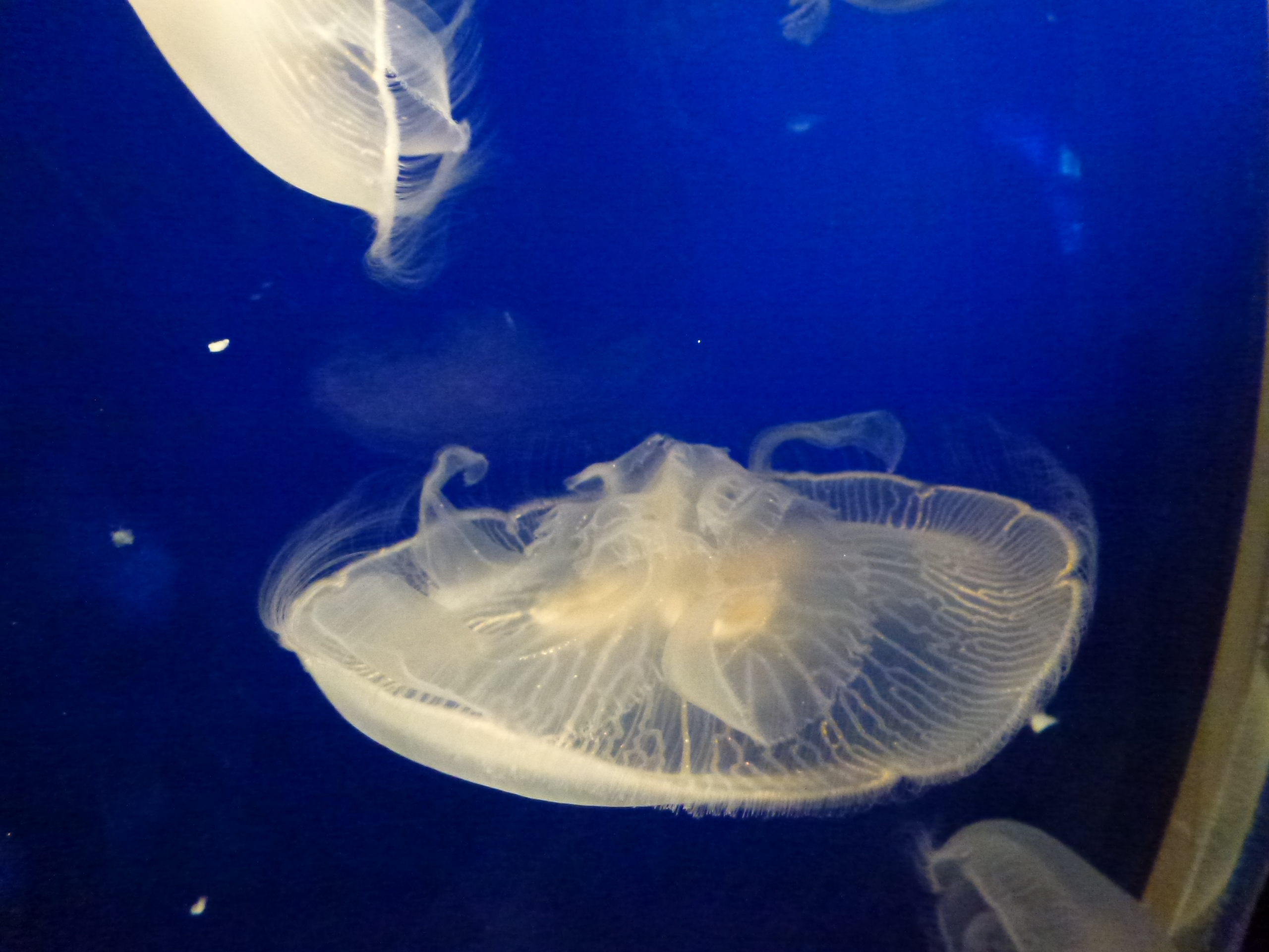 P1020514.JPG
