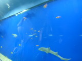 img0004.jpg