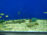 img0005.jpg