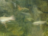 img0007.jpg