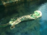 img0013.jpg
