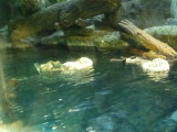 img0014.jpg