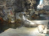 img0018.jpg