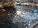 img0021.jpg