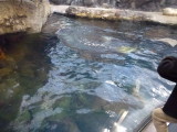 img0022.jpg