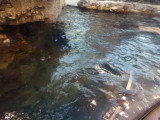 img0025.jpg